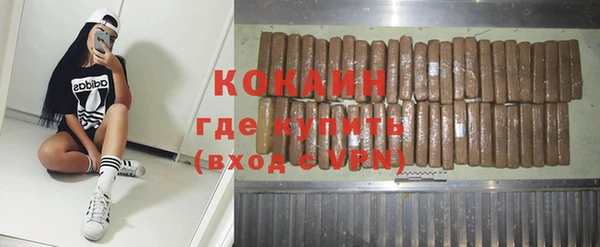 индика Вязники