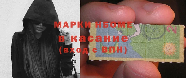 индика Вязники