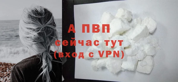 ГАЛЛЮЦИНОГЕННЫЕ ГРИБЫ Вязьма
