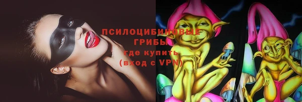 индика Вязники