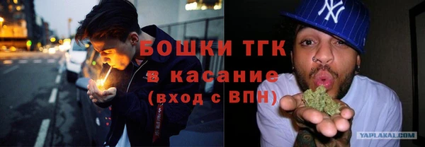 индика Вязники