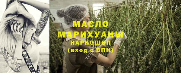 индика Вязники