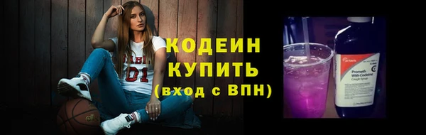 индика Вязники