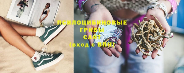 ГАЛЛЮЦИНОГЕННЫЕ ГРИБЫ Вязьма