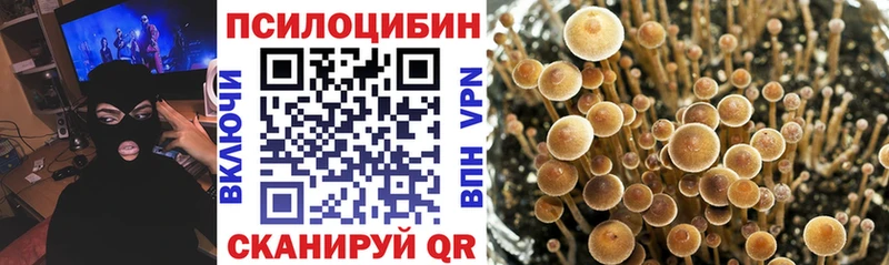 Купить где  Белая Калитва  Псилоцибиновые грибы MAGIC MUSHROOMS 